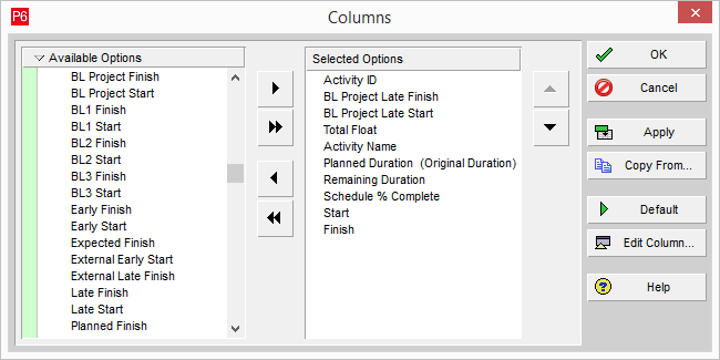 P6 Columns Dialog